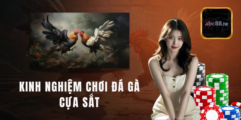 Kinh nghiệm chơi đá gà cựa sắt trăm trận trăm thắng