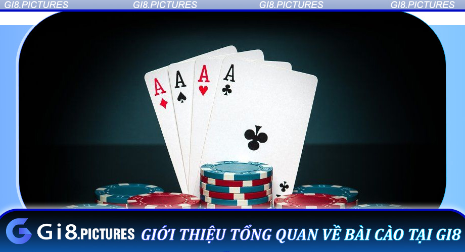 Giới thiệu tổng quan về bài cào tại GI8