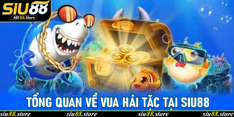 Tổng quan về Vua Hải Tặc tại Siu88