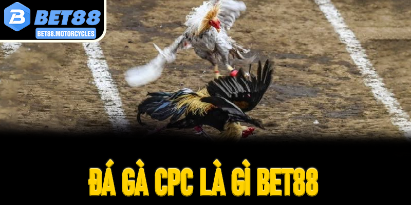 Đá Gà CPC Là Gì